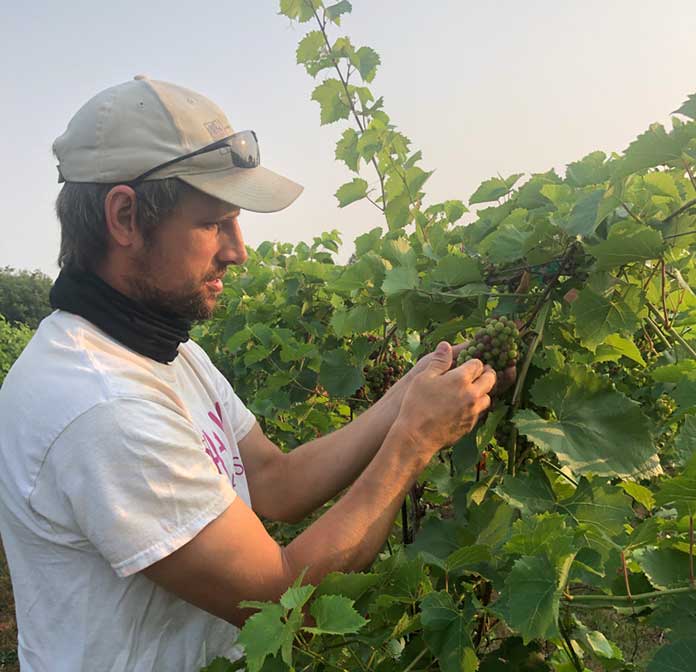 Nick with his grapevines