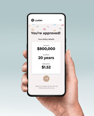 Cell phone with Ladder app