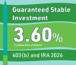 Guaranteed stable investment 2026